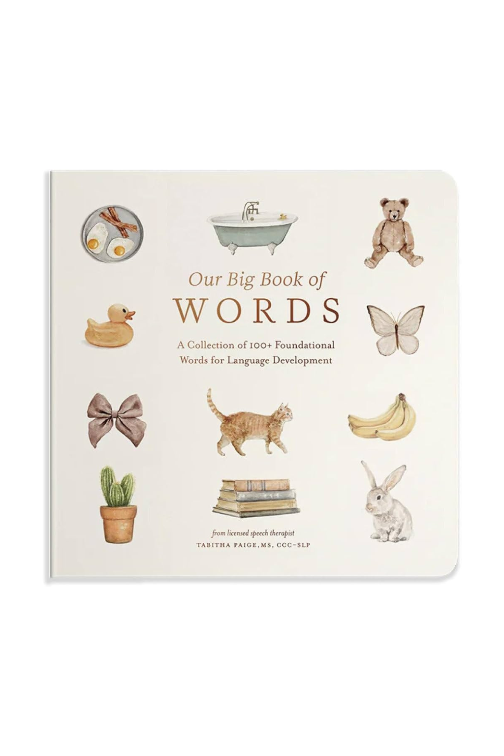 Our Big Book of First Words