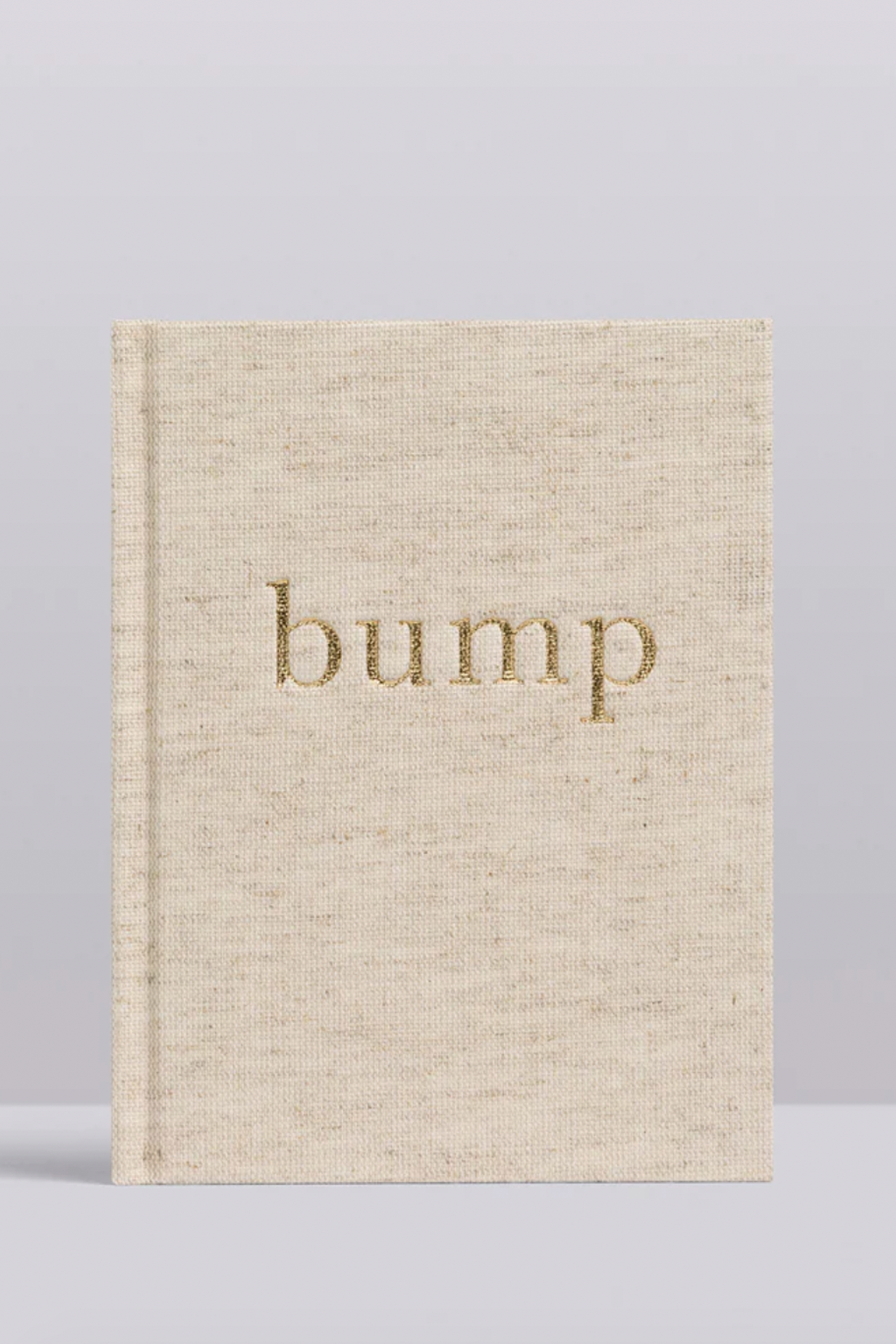 Bump. A Pregnancy Story Book