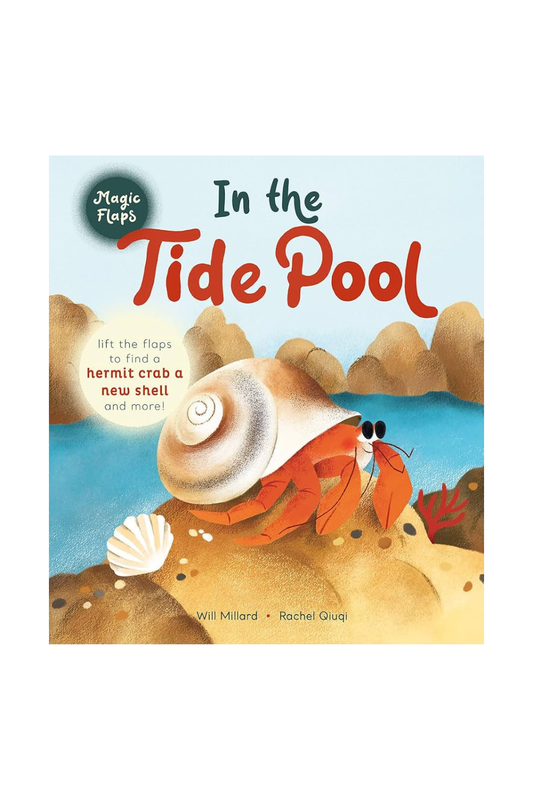 In the Tide Pool