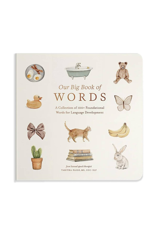 Our Big Book of First Words