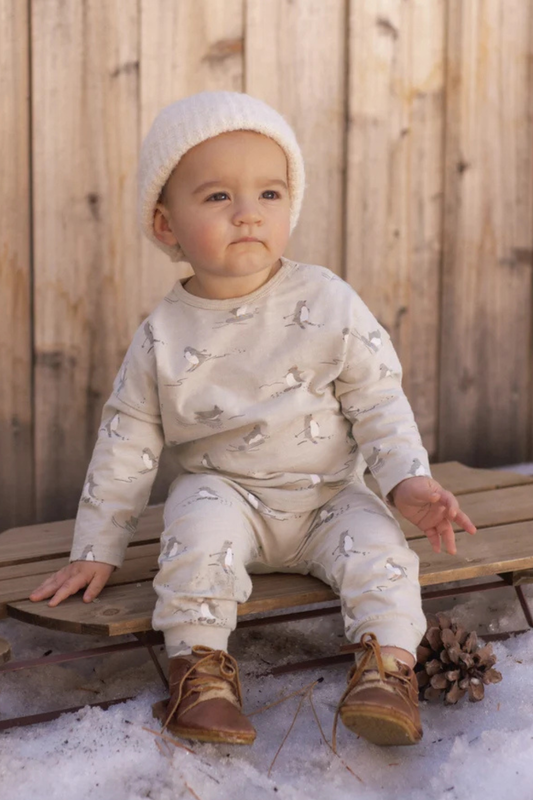Long Sleeve Tee + Pant Set