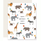 Safari Party Animal Birthday Card