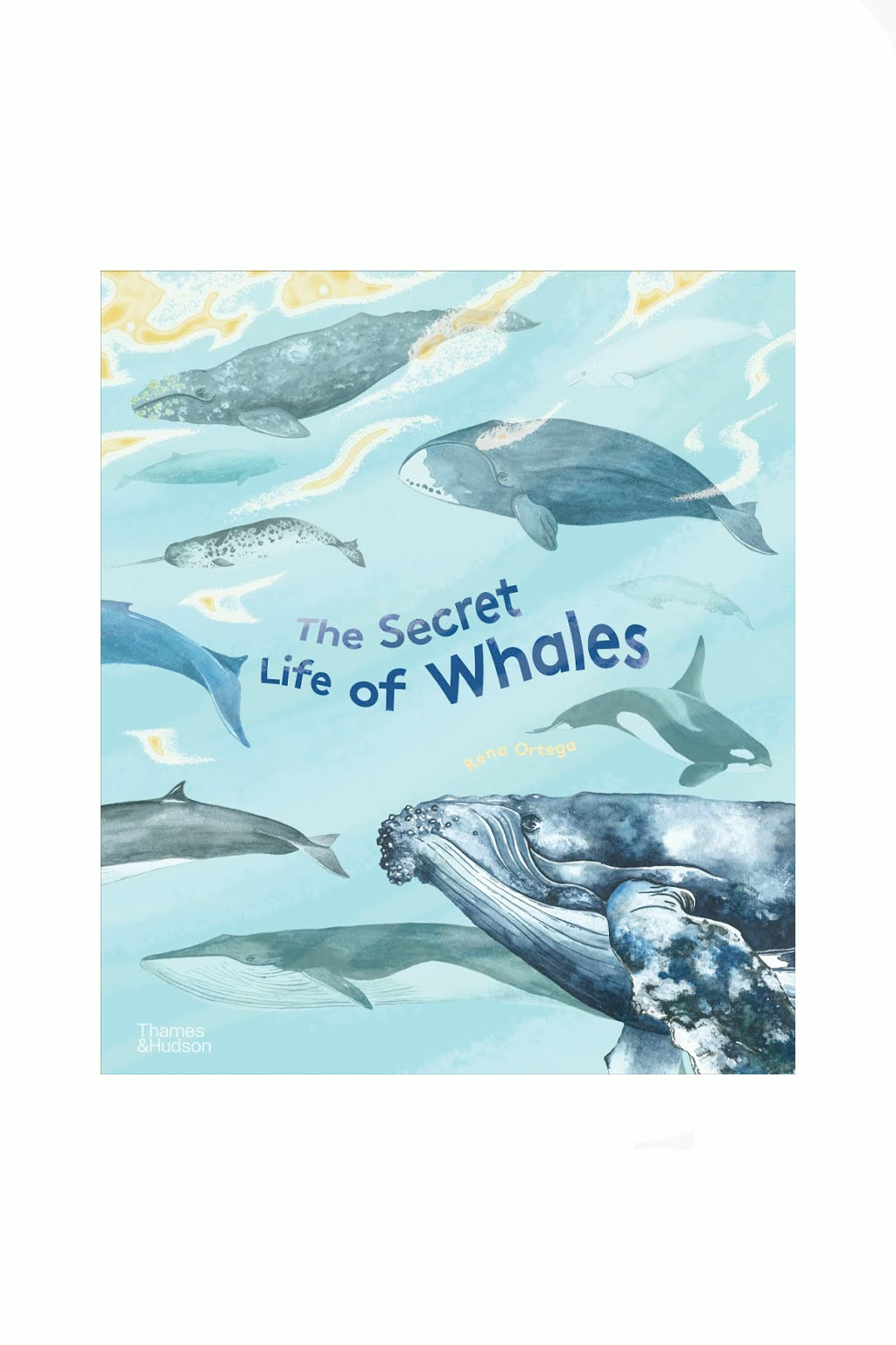 The Secret Life of Whales