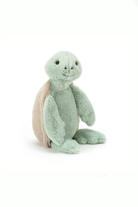 Bashful Turtle - Medium