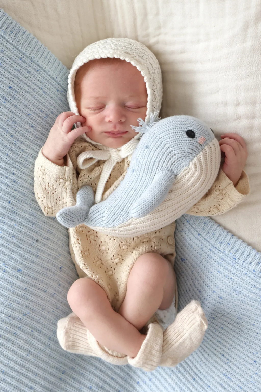 Baby Whale