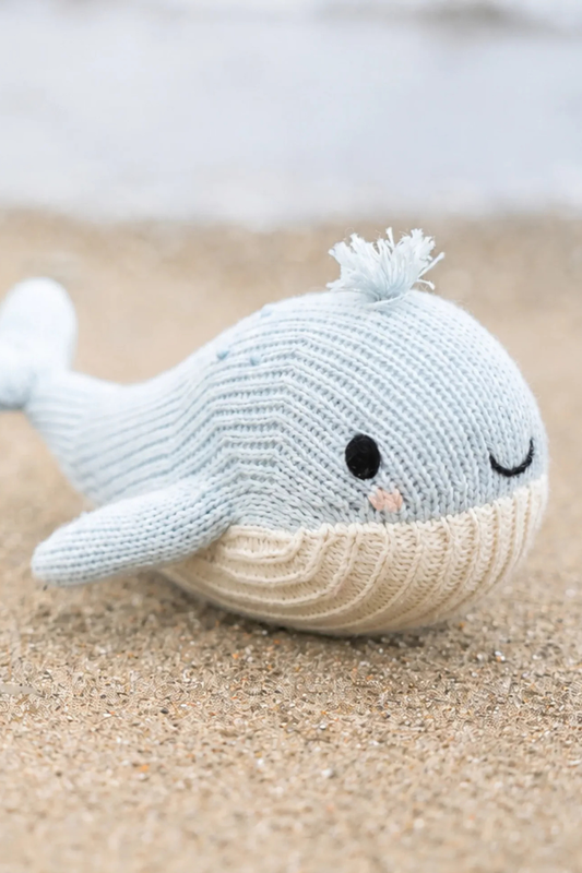 Baby Whale
