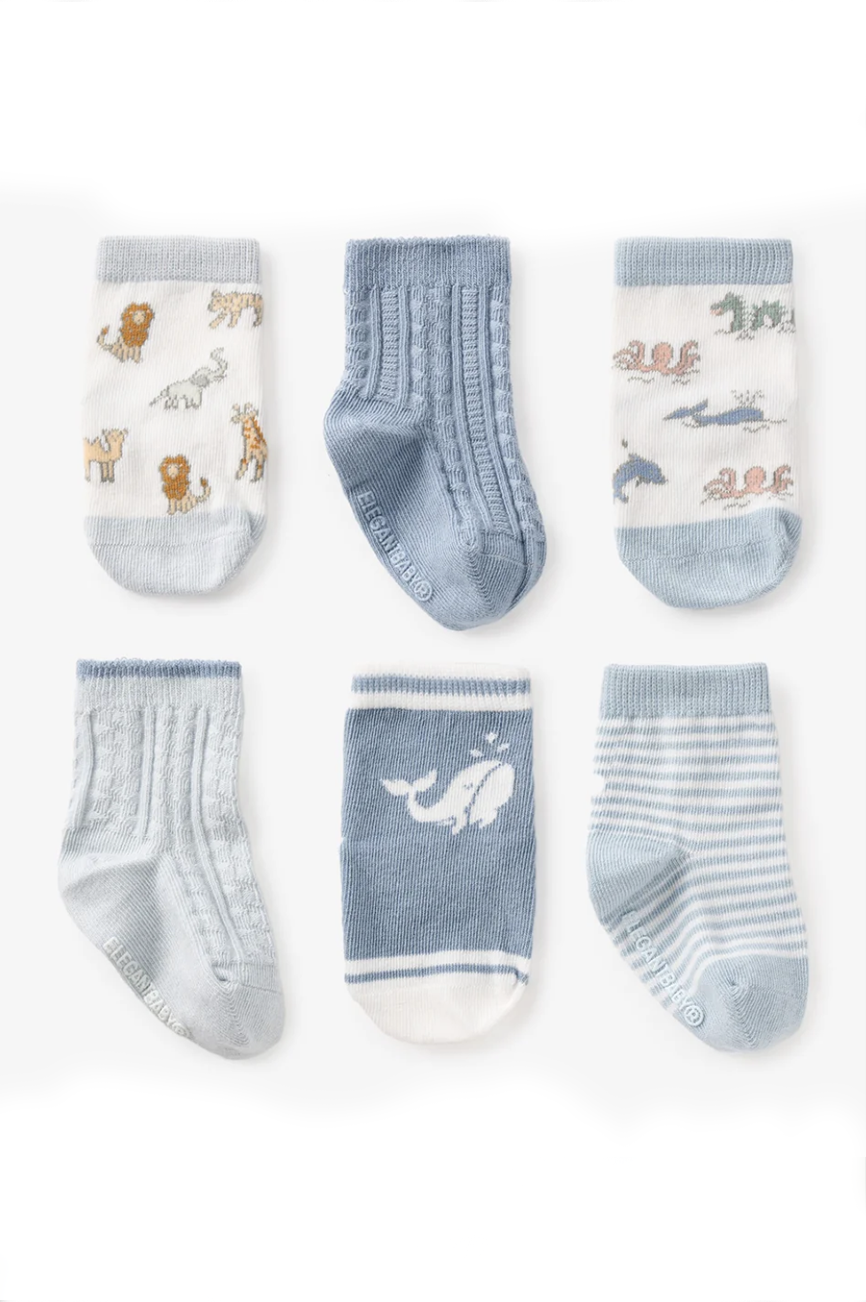 World Traveler Socks 6pk