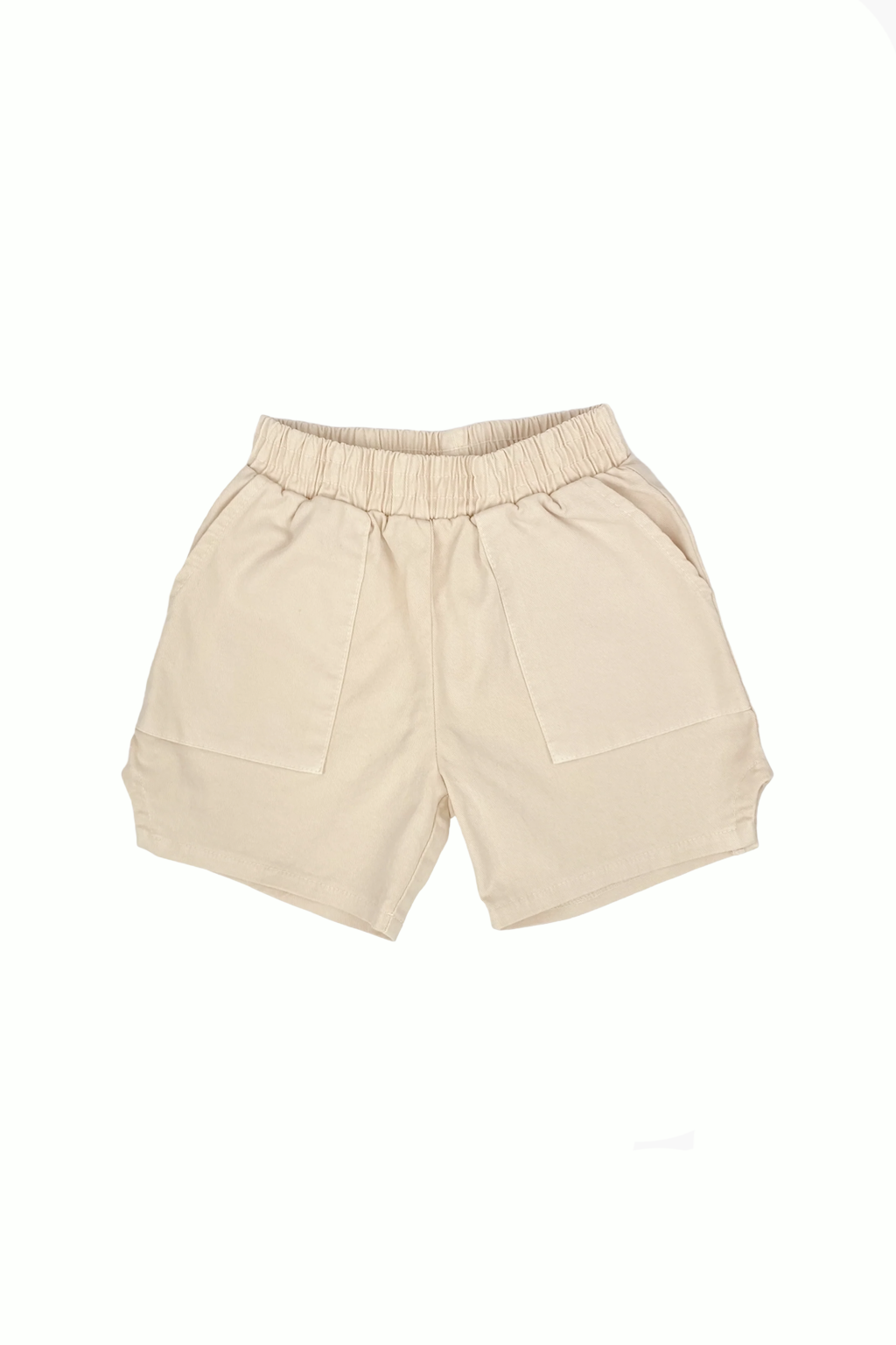 Explorer Dad Shorts