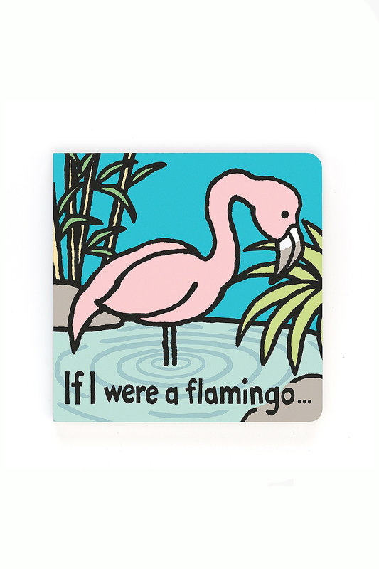 If I Were A Flamingo Book